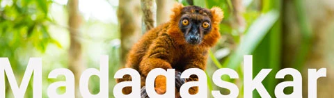 Air tickets for charter flights from Poland-to Madagascar