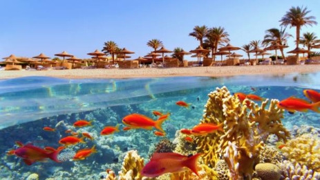 BILETE DE AVION! OFERTE! Egiptul, Bucureștiul - Hurghada - Bucureștiul 16.07.2025-23.07.2025 221 €
