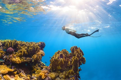 BILETE DE AVION! OFERTE! Egiptul, Sharm el Sheikh - Chișinăul 17.09.2026 72 &euro;