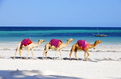 AIR TICKETS PROMOTION! Egypt, Bucharest - Hurghada 10.01.2025 99 €