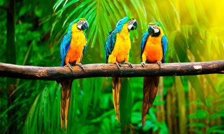 BILETE DE AVION! OFERTE! Republica Dominicană, Varșovia - Punta Cana - Varșovia 27.12.2025-10.01.2026 1403 €