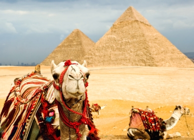 AIR TICKETS PROMOTION! Egypt, Warsaw - Sharm El Sheikh - Warsaw 11.01.2025-18.01.2025 213 €