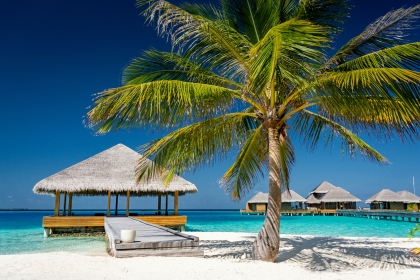 BILETE DE AVION! OFERTE! Maldive, Chișinăul - Male - Chișinăul 11.03.2026-21.03.2026 800 &euro;