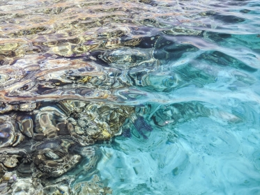 BILETE DE AVION! OFERTE! Egiptul, Chișinăul - Sharm el Sheikh - Chișinăul 03.03.2026-13.03.2026 275 &euro;