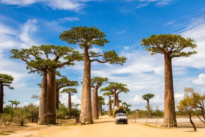 BILETE DE AVION! OFERTE! Madagascar, Varșovia - Nosy Be - Varșovia 19.10.2025-27.10.2025 1050 €