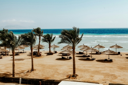 BILETE DE AVION! OFERTE! Egiptul, Hurghada - Chișinăul 23.04.2026 169 &euro;